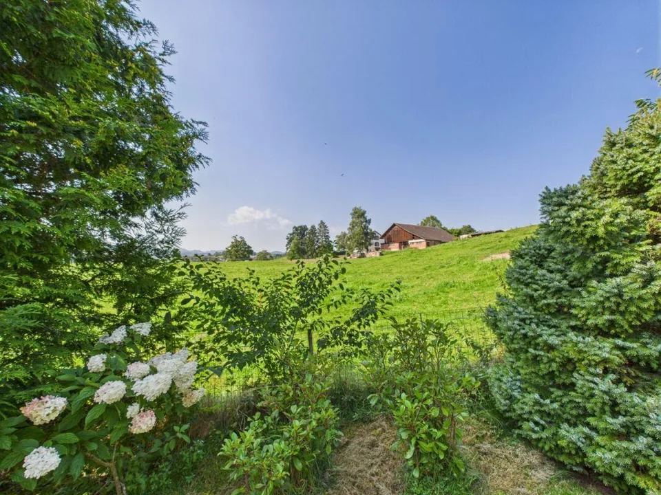 3.5 Zimmer Wohnung in 3-Familienhaus