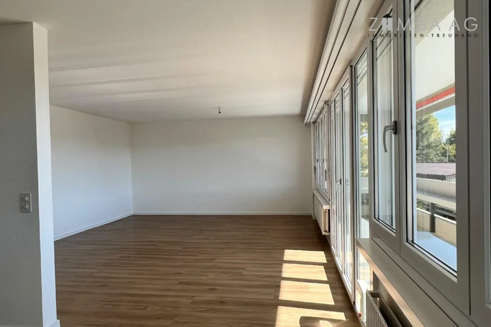 Ampio, posizione molto tranquilla, molta luce solare, ampio balcone, lavatrice/asciugatrice
