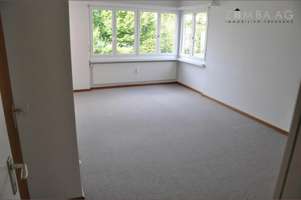 Ampio, posizione molto tranquilla, molta luce solare, ampio balcone, lavatrice/asciugatrice