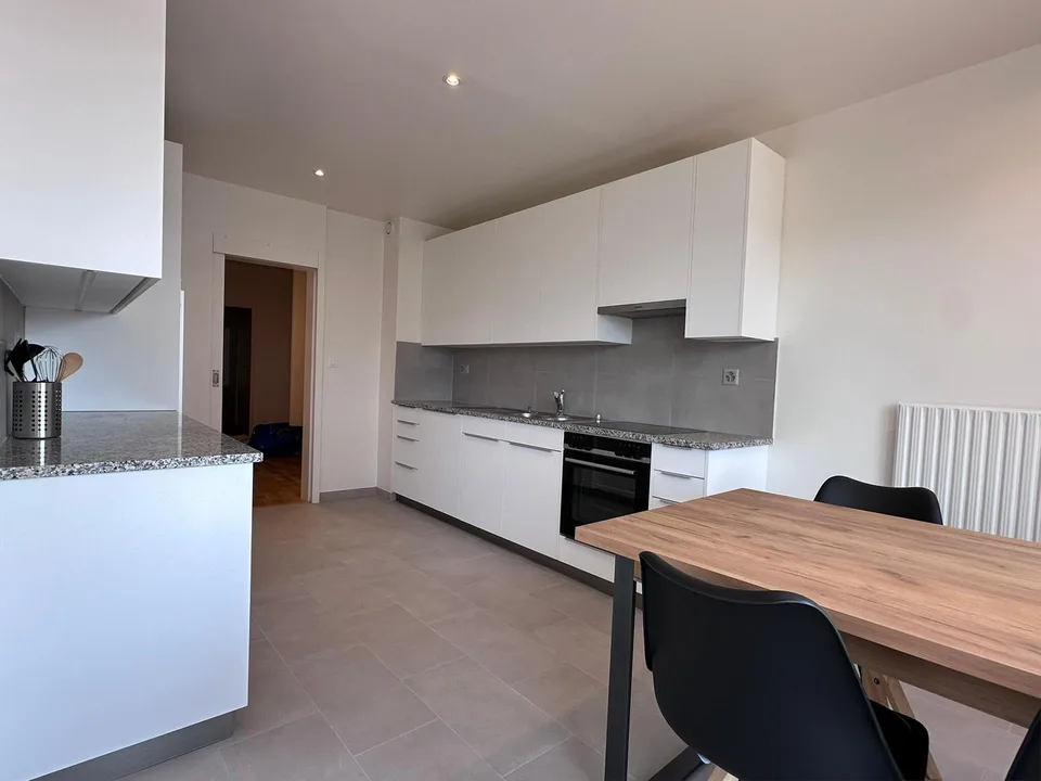 Coliving Spacieux entre Ville et Nature à Thônex