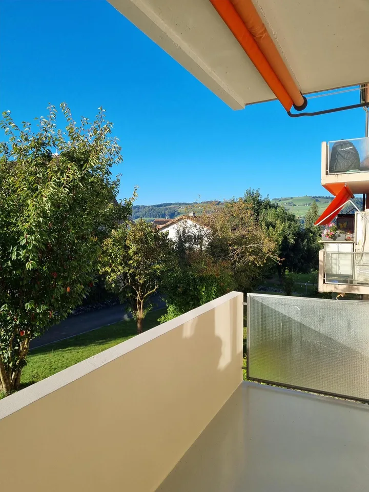 Appartamento di 3 camere con balcone soleggiato