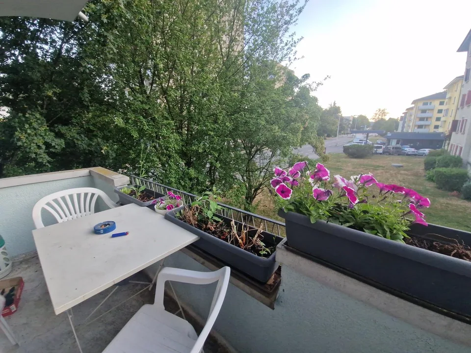 Appartement spacieux et confortable dans un environnement verdoyant