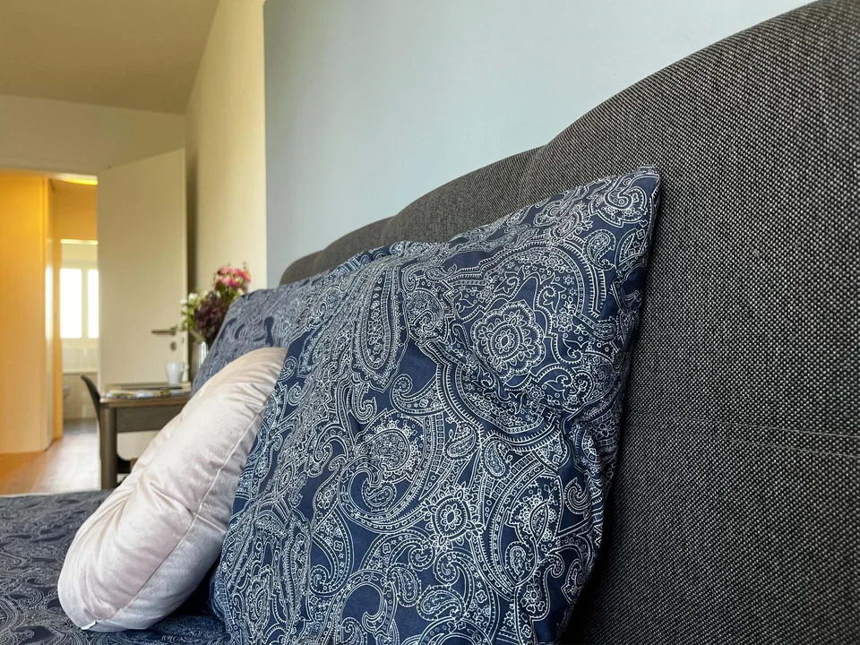Helle, renovierte Wohnung ideal für junge Berufstätige