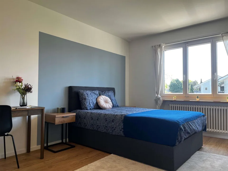 Helle, renovierte Wohnung ideal für junge Berufstätige