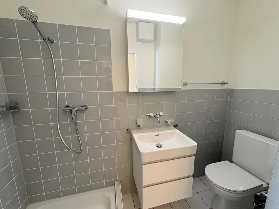 1.0 Zimmerwohnung in Basel