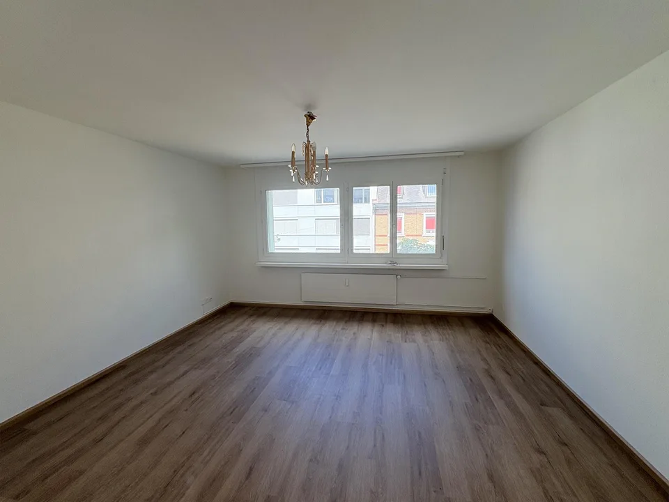 1.0 Zimmerwohnung in Basel
