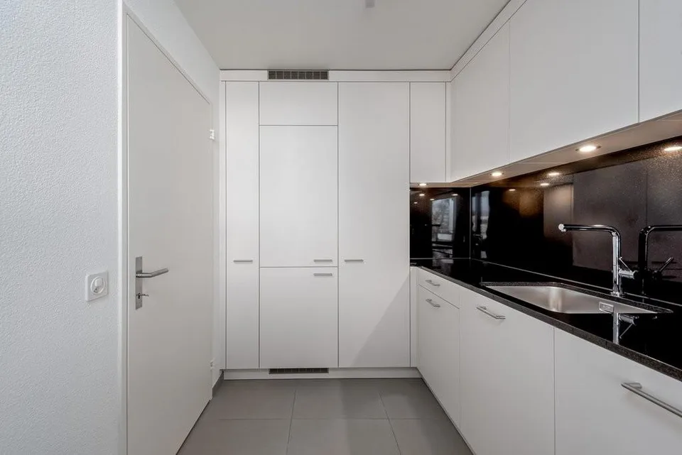 Dream Home in Niederhasli