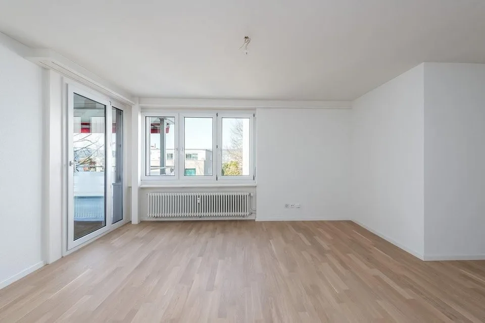 Dream Home in Niederhasli