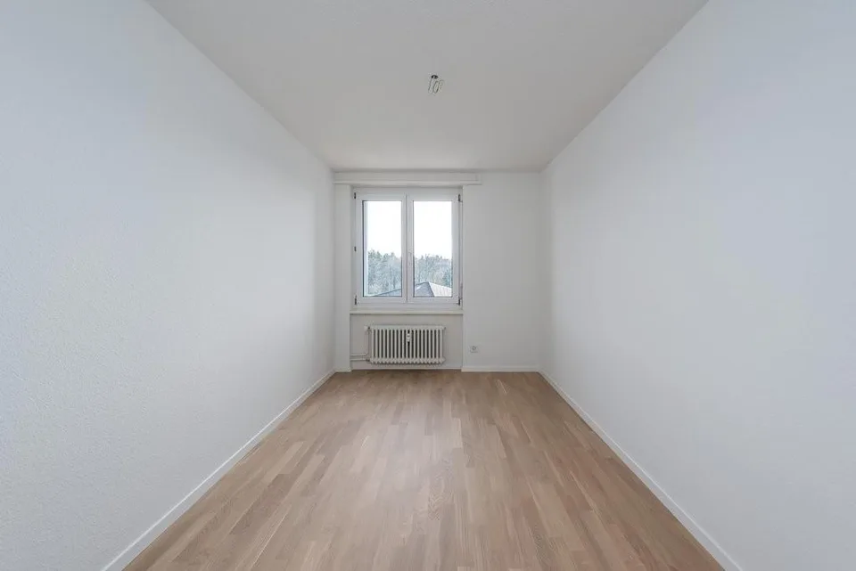 Dream Home in Niederhasli