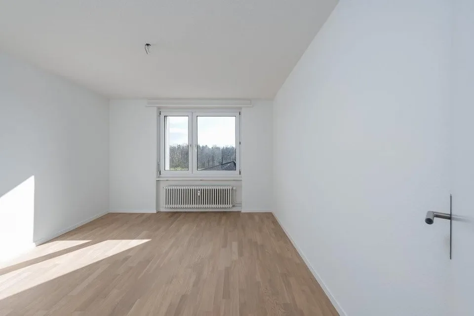 Dream Home in Niederhasli