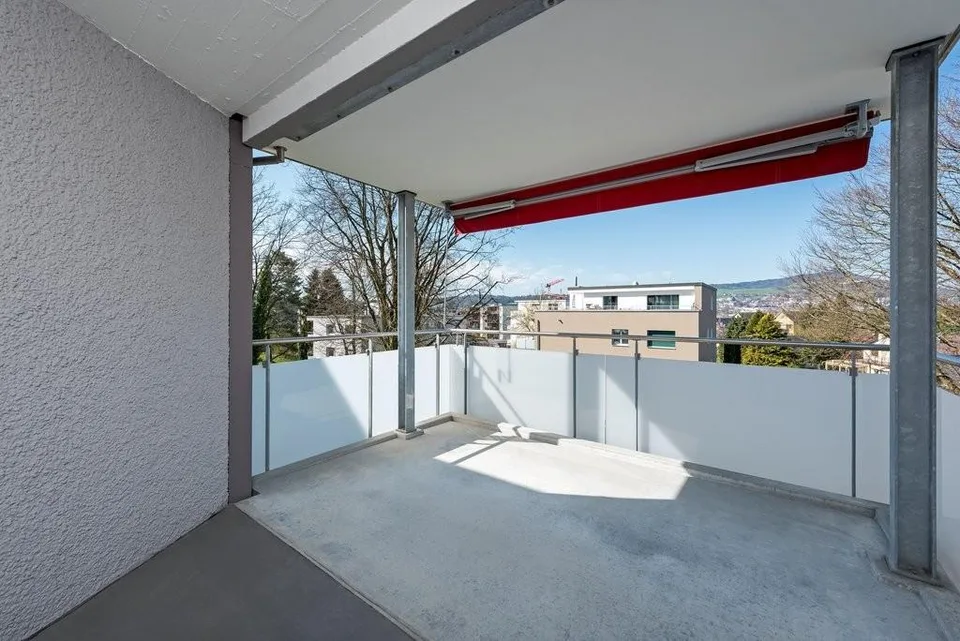 Dream Home in Niederhasli