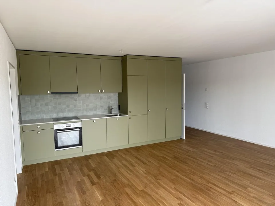 Modern 3-room apartment with balcony and beautiful view in Muttenz