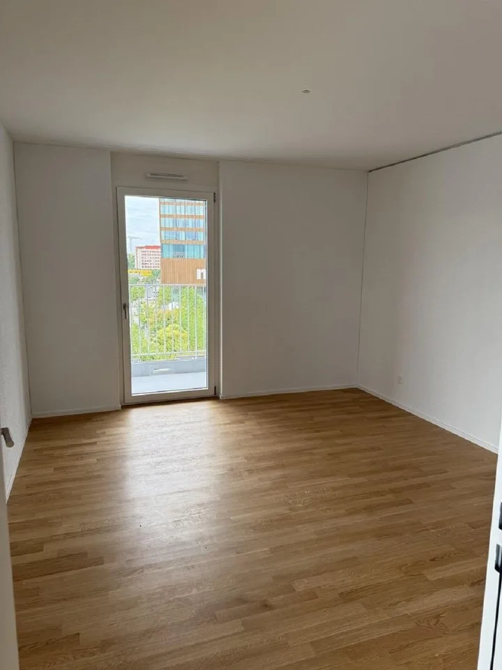 Modern 3-room apartment with balcony and beautiful view in Muttenz