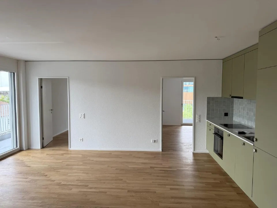 Modern 3-room apartment with balcony and beautiful view in Muttenz
