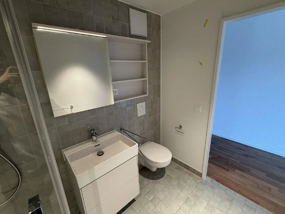 Modern 3-room apartment with balcony and beautiful view in Muttenz