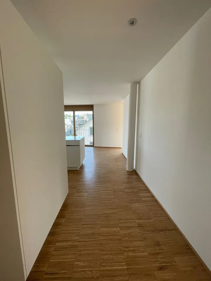 3.5 Zimmerwohnung in Wädenswil