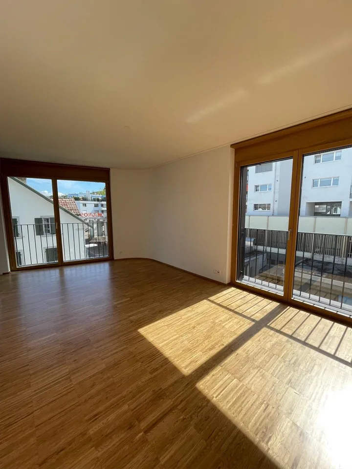 3.5 Zimmerwohnung in Wädenswil