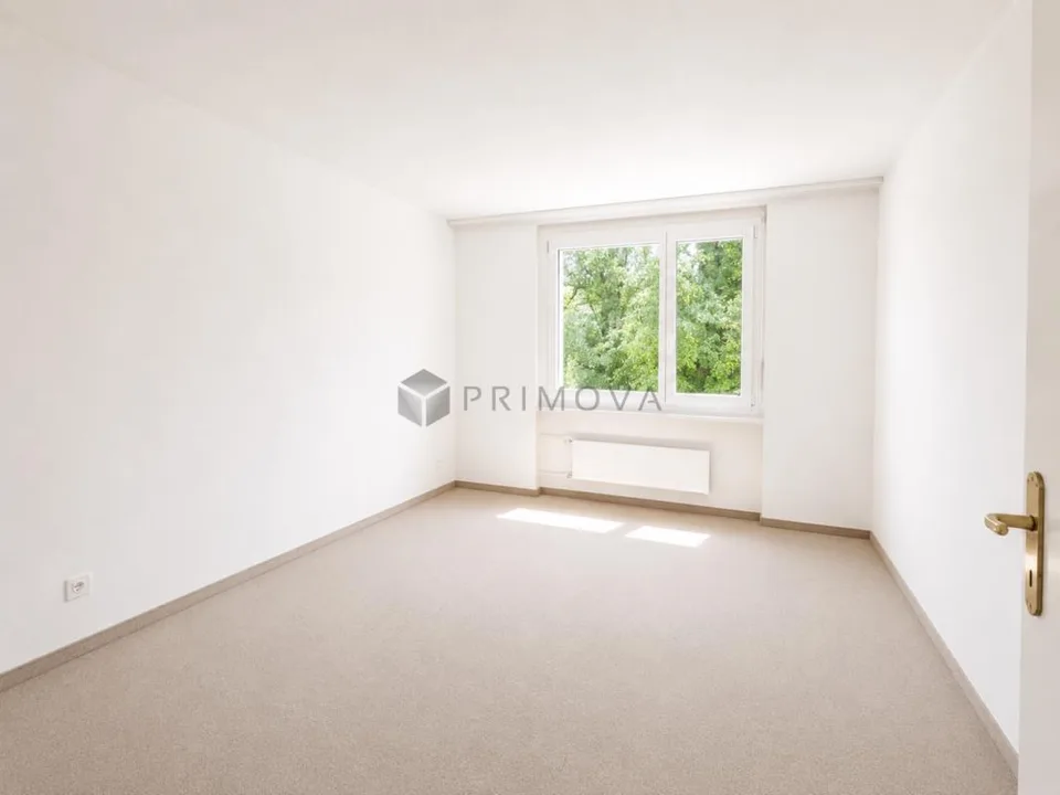 Lichtdurchflutete Wohnung mit Weitsicht an beliebter Lage in Horw z...