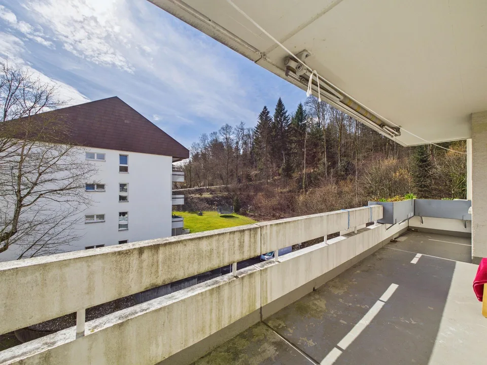 Attractive investment opportunity with long-term rental potential