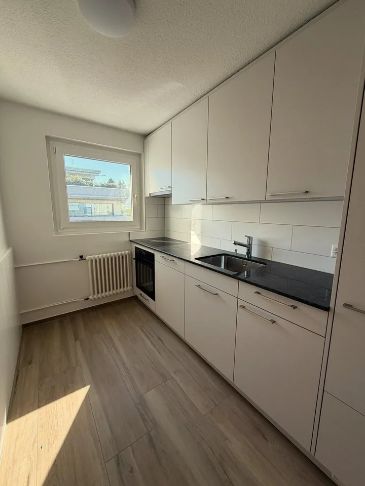 Beautiful, completely renovated 4-room apartment in a central location