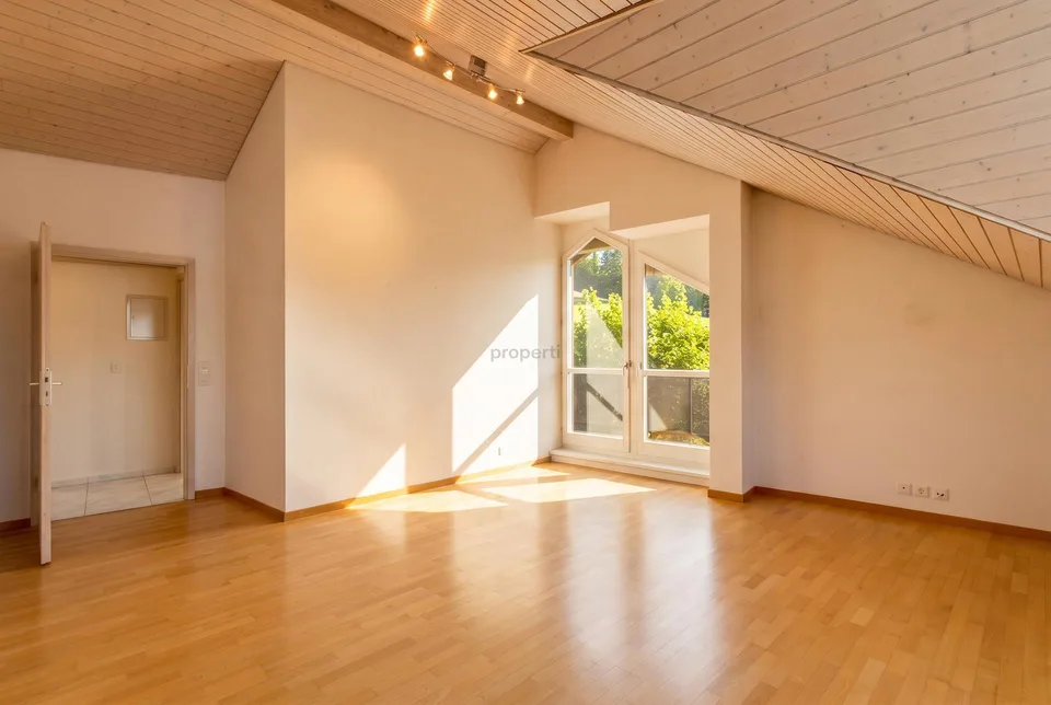Lichtdurchflutete Wohnung in Buchs