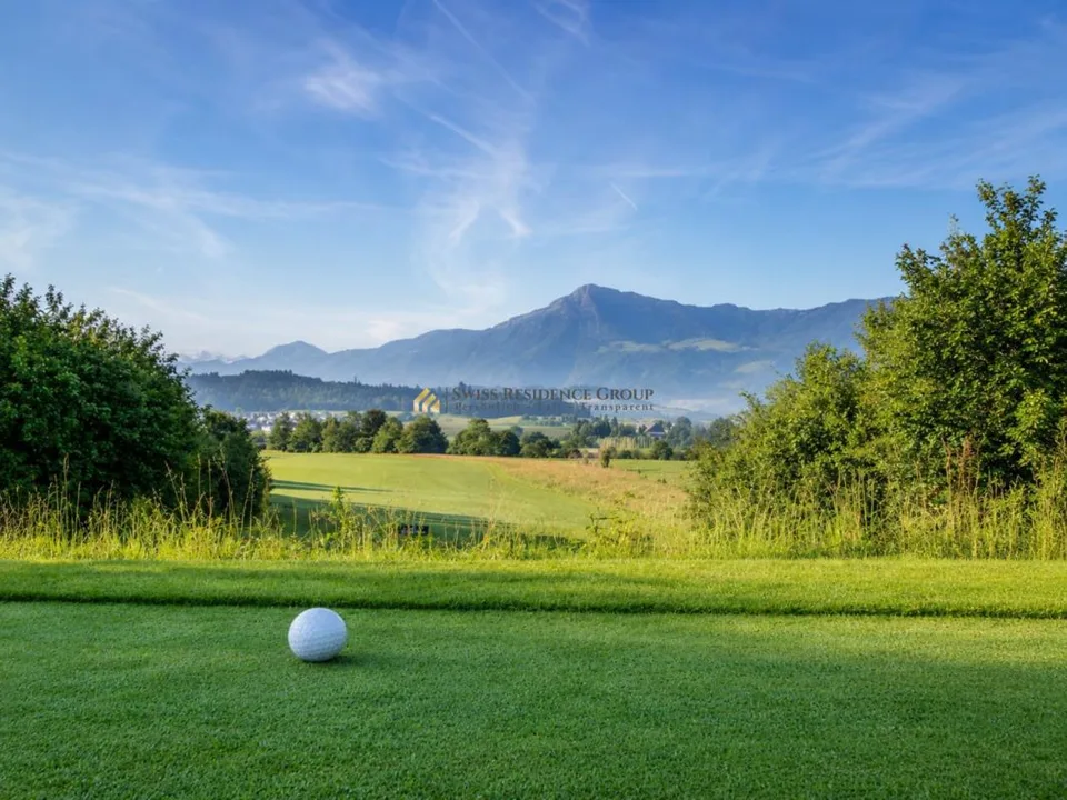 Exklusives Reiheneinfamilienhaus in Risch mit Zugersee-Blick