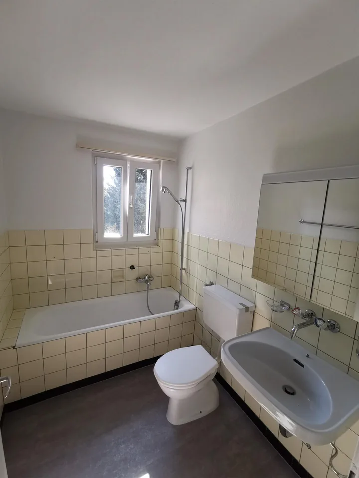 Helle teilrenovierte 3-Zimmerwohnung in Hunzenschwil!