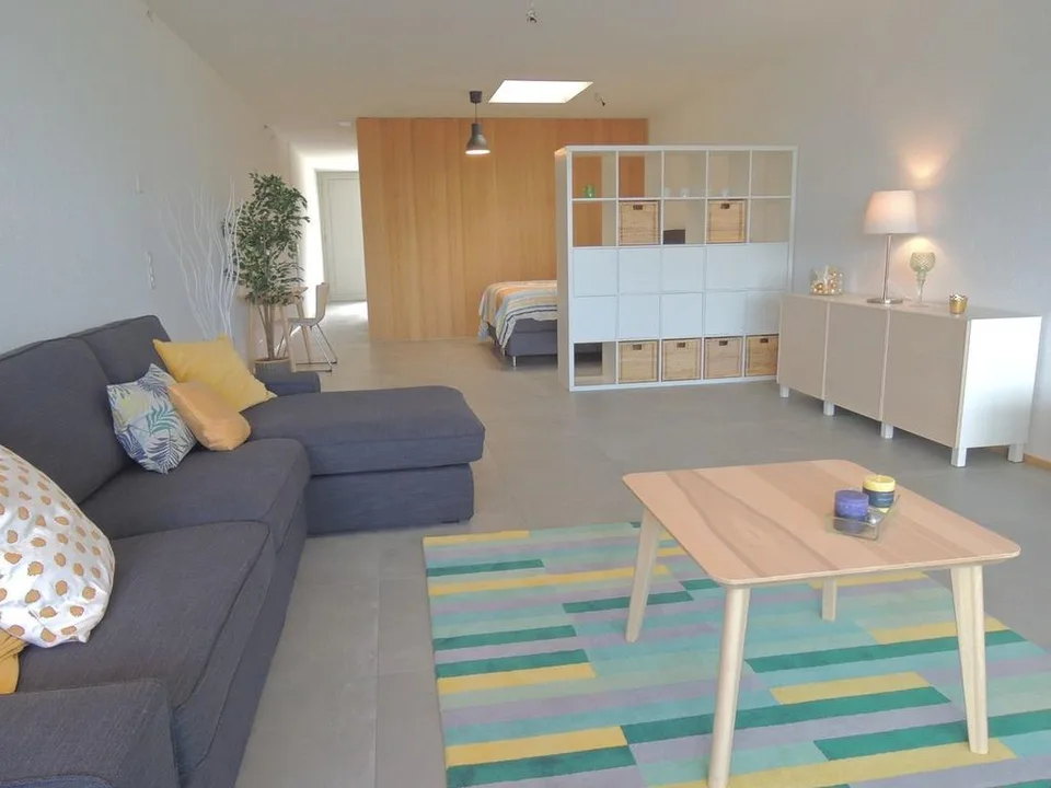 DIE PERFEKTE WOHNUNG FÜR SINGLES