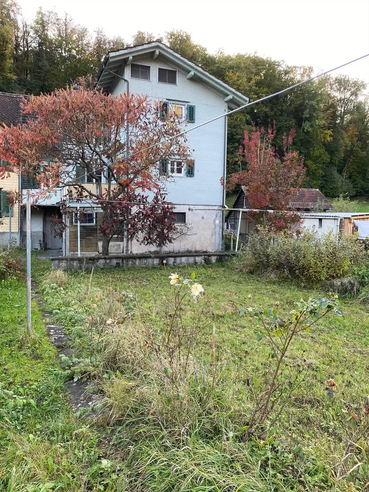 Idyllisches Altbauhaus mit grossem Umschwung