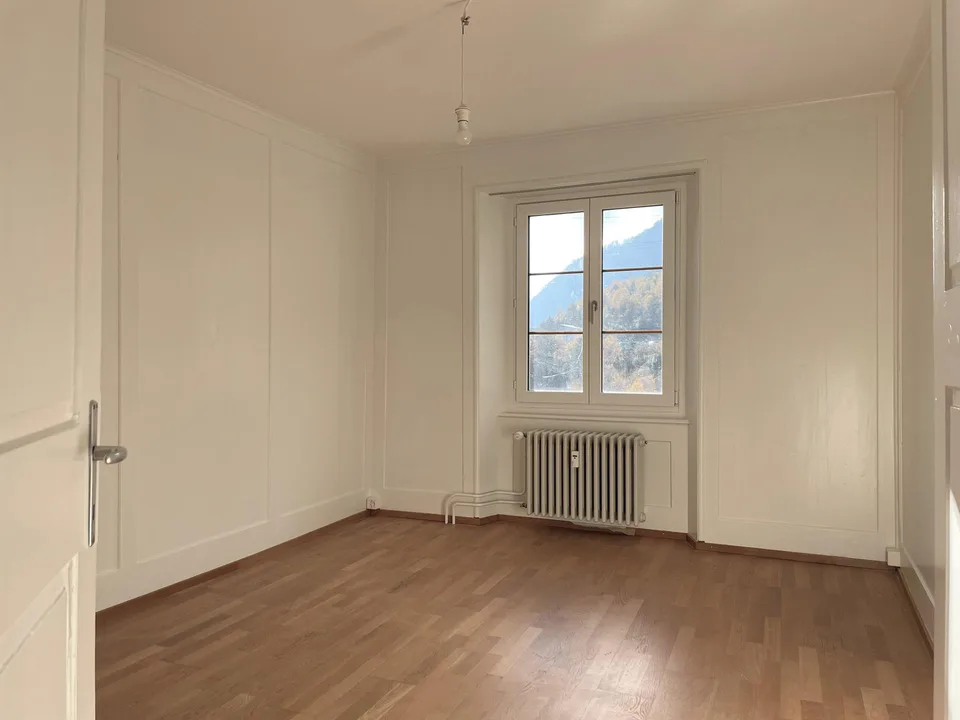 Grosszügige Wohnung im Park