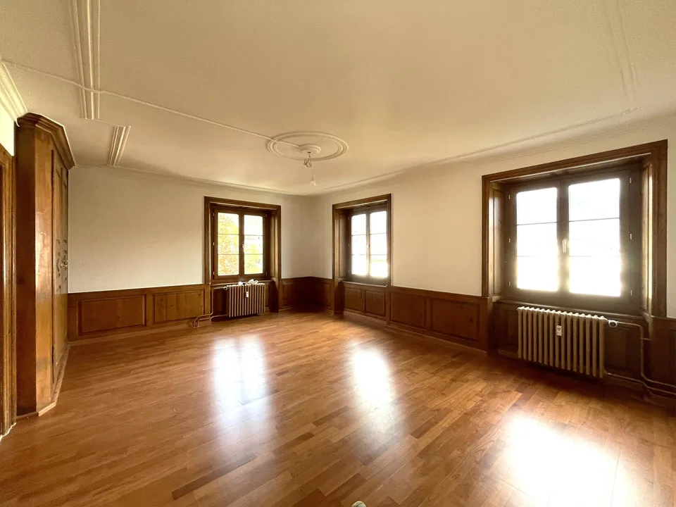 Grosszügige Wohnung im Park