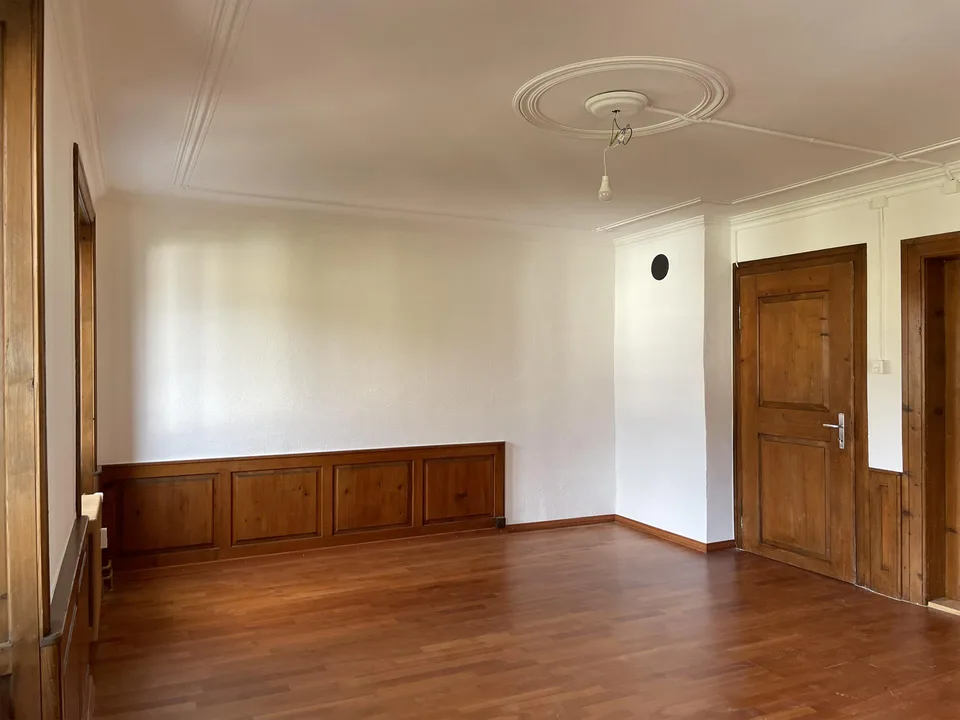 Grosszügige Wohnung im Park