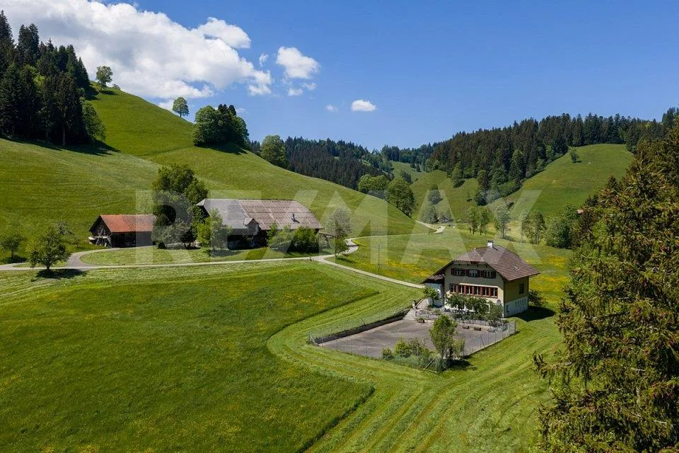 Einfamilienhaus an ruhiger und sonniger Lage – ein echtes Bijou!