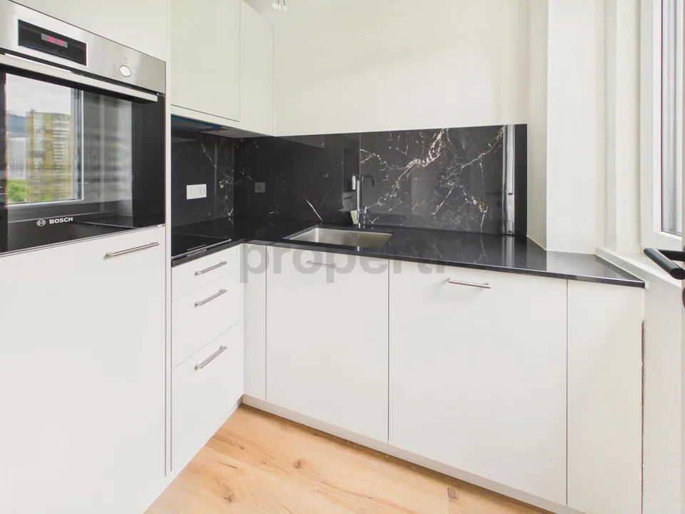 Neu renovierte 1.5-Zimmer-Apartment mit Kellerraum, Luzern