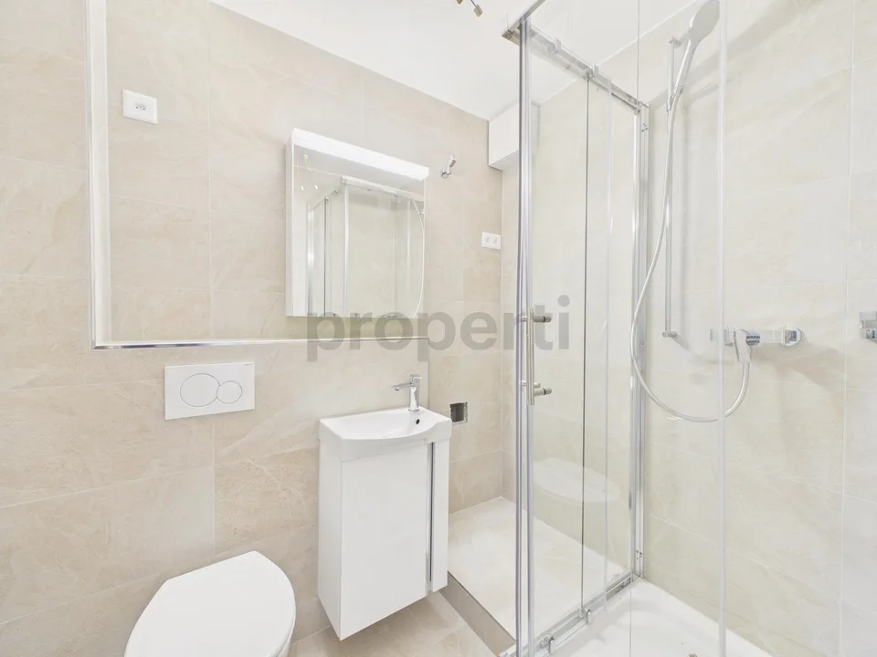 Neu renovierte 1.5-Zimmer-Apartment mit Kellerraum, Luzern
