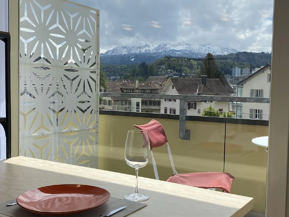 Gemütliches 1-Zimmer-Apartment mit Balkon in Emmen – sofort verfügbar!