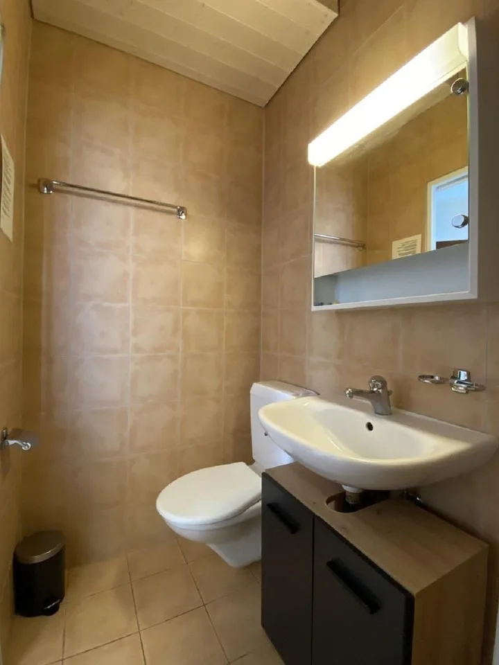 Gemütliches 1-Zimmer-Apartment mit Balkon in Emmen – sofort verfügbar!