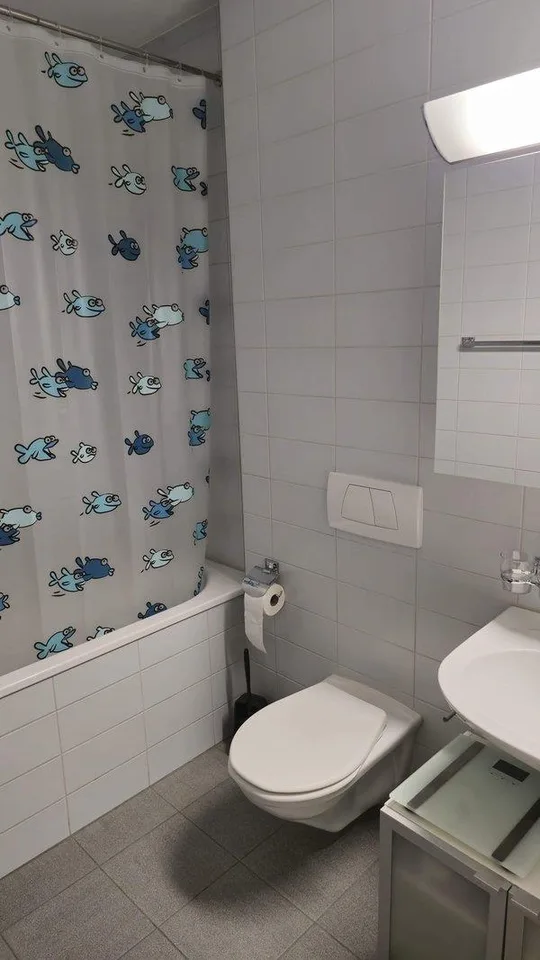Moderne 3-Zimmer-Wohnung mit Balkon in Baden