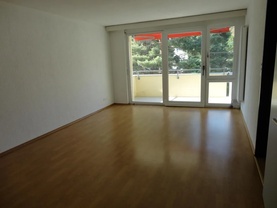 helle-renovierte,  4 1/2 Zimmerwohnung