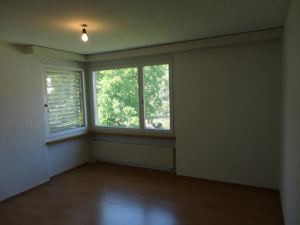 helle-renovierte,  4 1/2 Zimmerwohnung