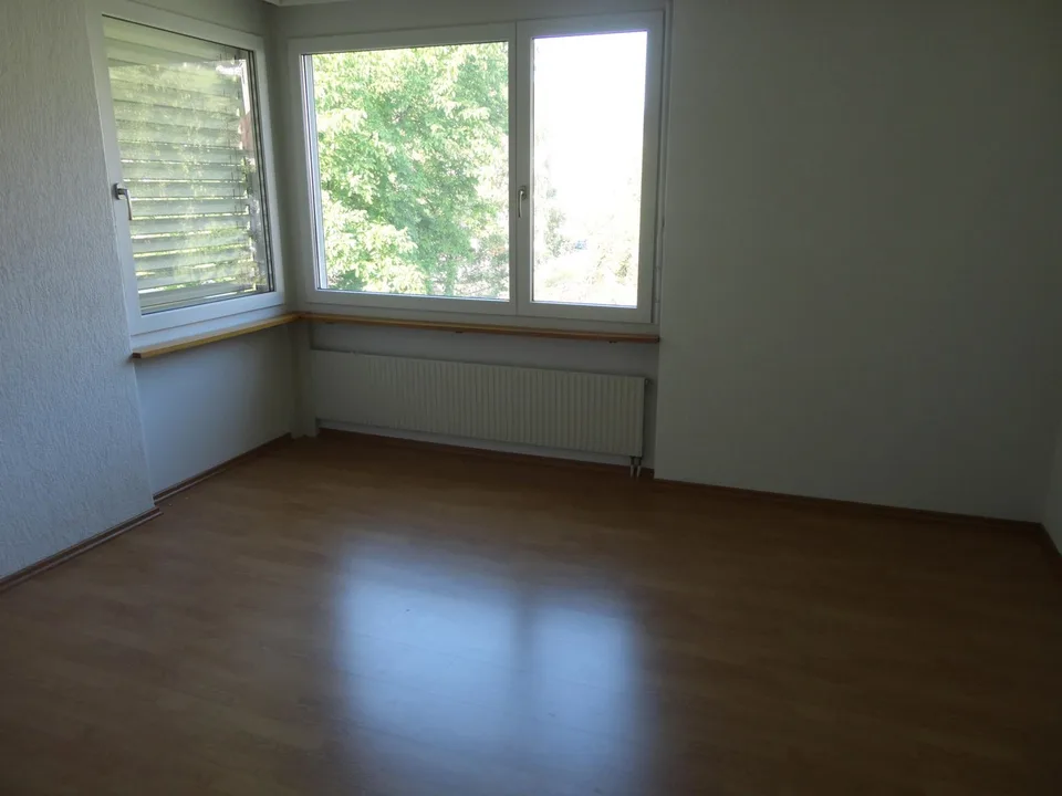helle-renovierte,  4 1/2 Zimmerwohnung