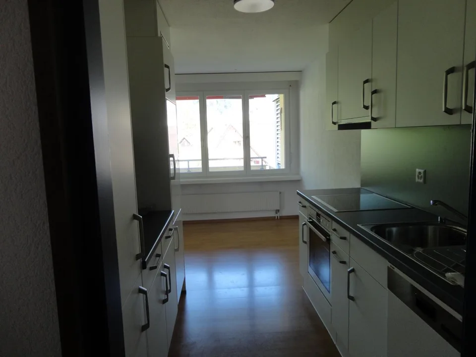 helle-renovierte,  4 1/2 Zimmerwohnung