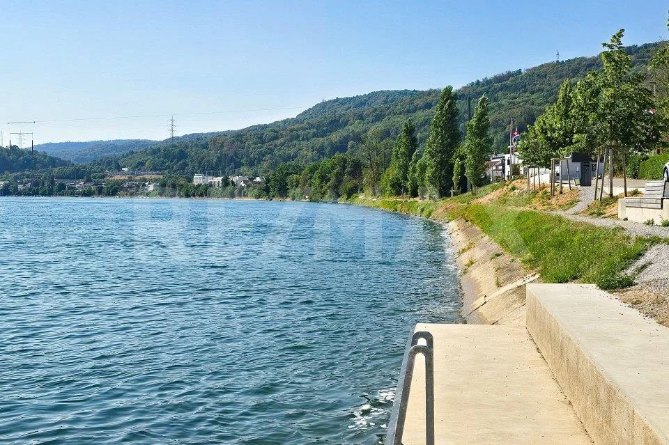 Wohnen am Rhein