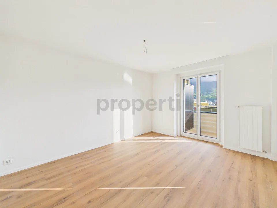 Neu renovierte 2.5-Zimmer-Wohnung mit Balkon, Luzern