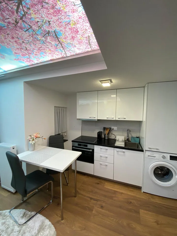 Modernes Studio im Zentrum Chur mit gemeinschafts Dachterasse