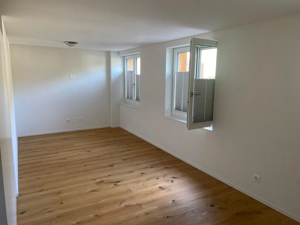 Ab 1.November, helle 1,5 Zimmerwohnung zu vermieten