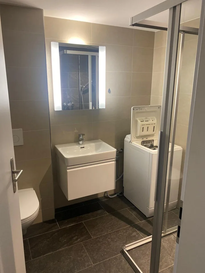 Ab 1.November, helle 1,5 Zimmerwohnung zu vermieten