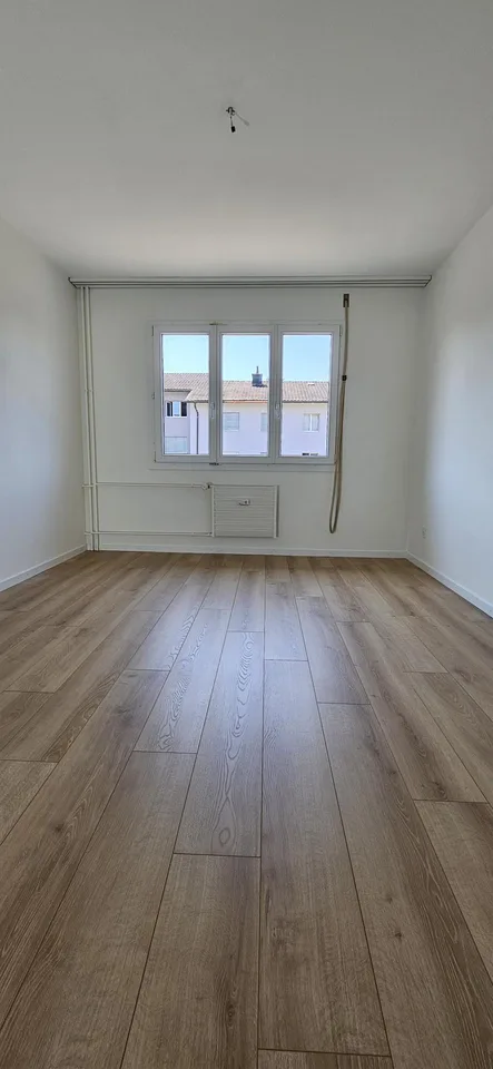 3 Zimmerwohnung in ruhigem Quartier zu vermieten