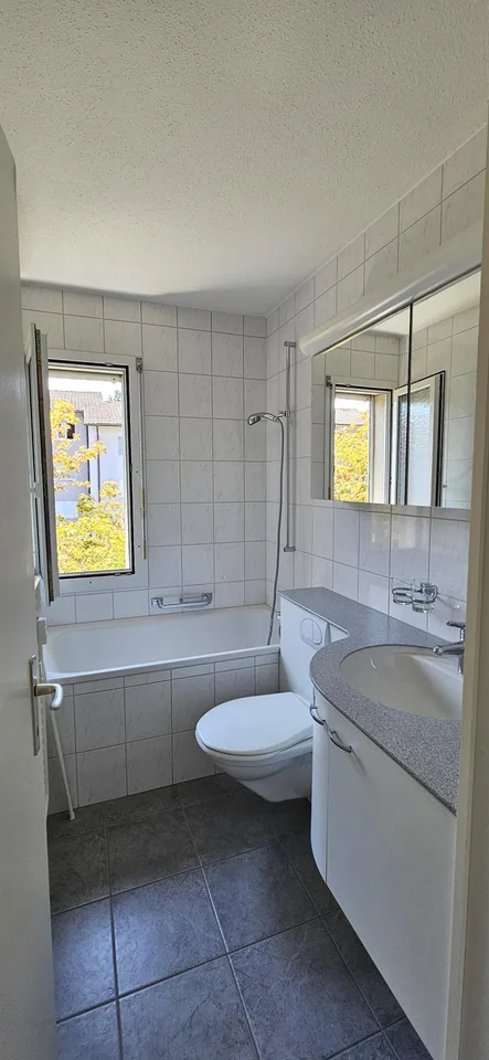 3 Zimmerwohnung in ruhigem Quartier zu vermieten