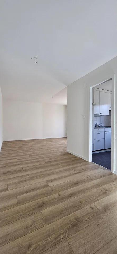 3 Zimmerwohnung in ruhigem Quartier zu vermieten